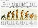 evoluson.jpg